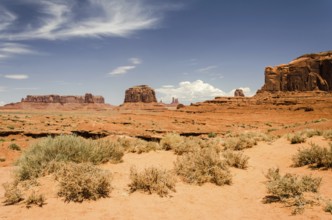 Beautiful red desert landscape with bushes and mesas
