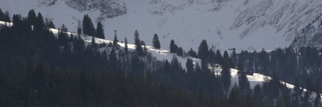 Sunny, snow-covered hill in Gsteig near Gstaad and fir forest