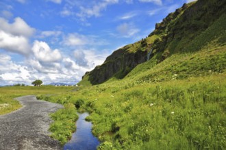 Green meadows and clear streams. The neighborhood Seljalandsfoss. Iceland in July