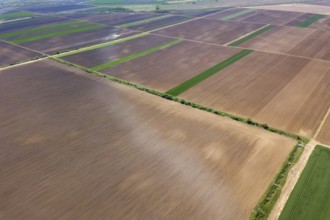 Spring Fields. Aerial view of agricultural fields