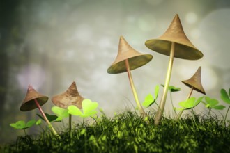 An image of some nice mushrooms in the forest