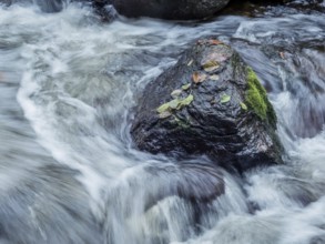 A stream with stones and flowing water. Experience the landscape in nature. Austria