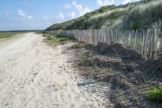 The nature reserve of La Maye in northern France