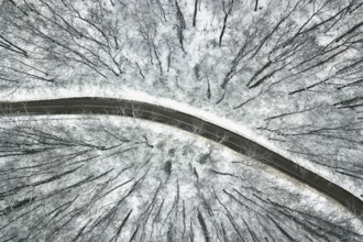 Snowy forest with a road. Aerial view