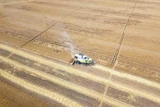 Combine harvester working on a wheat field. Combine harvester Aerial view