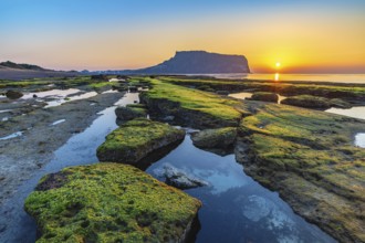 Jeju Island South Korea, Sunrise nature landscape at Jeju Do Seongsan Ilchulbong