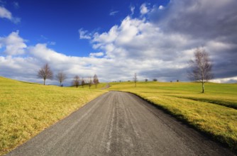 Empty road in the spring landscape at sunset
