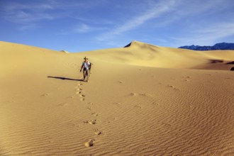 Woman with a camera and a tripod goes among the dunes. USA. Mesquite Flat Sand Dunes, Death Valley,