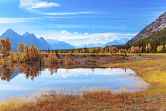 Picturesque Abraham Lake. Gorgeous Canadian autumn. Sunny day in October. The yellow and orange