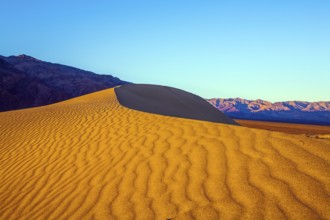 Mesquite Flat Sand Dunes - dunes in Death Valley, USA. Morning light illuminates the soft sandy