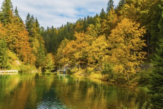 Fantastically beautiful autumn forests are reflected in the quiet lake Lago de Fusine. Easy ripples
