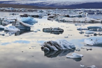 Icebergs and ice floes in the Ice Lagoon Jokulsarlon. South-east Iceland in July