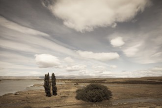 Argentine Patagonia on a windy day. Yellow flat desert with shallow lakes