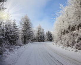 Ski track runs along the road. Solar Christmas morning in a snowy forest