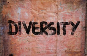 Diversity Concept