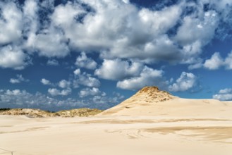 Dune landscape on the Baltic coast in Leba, Poland