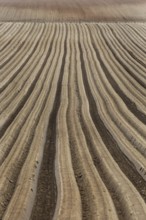 Furrows