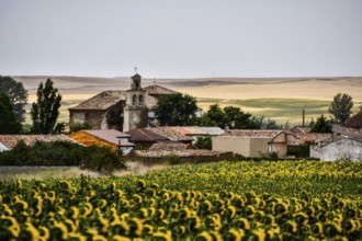 Spanish landscape view of european countryside rural area in castilla y leon burgos spain