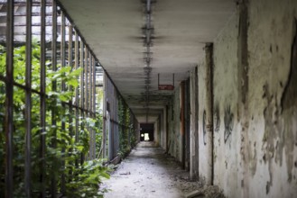 Details of an old abandoned factory