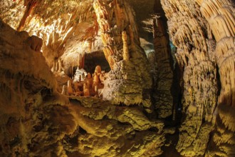 Postojna Cave. Colossal system of underground caves in Slovenia. Limestone plateau in Slovenia.
