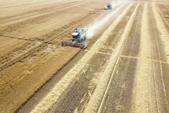 Combine harvester working on a wheat field. Combine harvester Aerial view