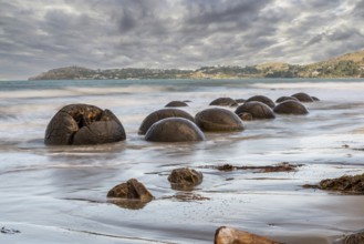 Scenic Moeraki Boulders at the east coast of New Zealands South Island