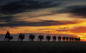 Camel statue in Gobi desert