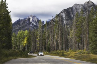Autotravel on the north in reserves among woods and mountains