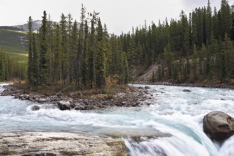Charming small islet in falls of the mountain river Banff. Early autumn in the Rocky Mountains of