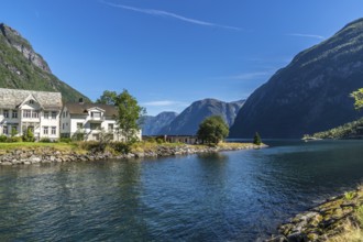 The landscape at the Geirangerfjord in summertime in Norway is beautiful and a very famous travel
