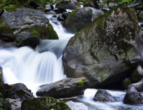 A cool stream with water and stones in the mountains. Unspoilt nature, Austria