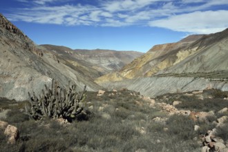 Landscape near Putre, Andes, Chile