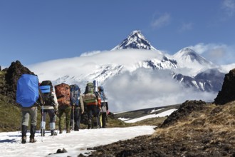 Group of hikers climbing in Kamchatka mountain on background of Klyuchevskaya group of volcanoes: