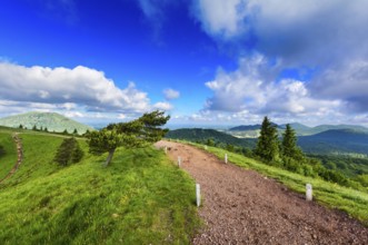 Old volcano of Puy Pariou in Auvergne in France