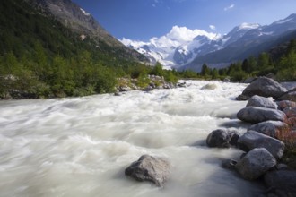 Swiss mountain landscape of the Morteratsch Glacier Valley hiking trail in the Bernina Mountain