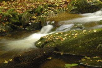 Waterfall in Höllbachgspreng. Waterfall in Höllbachgspreng