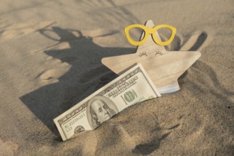 Money american hundred dollar bills in sandy beach with starfish. Concept finance saving money for