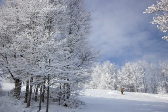 Snow covered trees in the mountains at sunset. Beautiful winter landscape. Selective focus