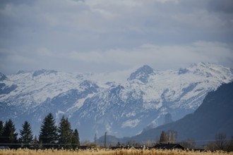 Snow-covered mountains with trees and clouds, Ainring, Upper Bavaria