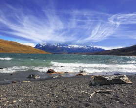National Park Torres del Paine. Patagonia, Chile. Stormy wind blows high waves on Lake Laguna Azul