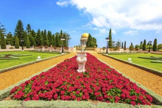 Luxurious flower bed with bright red flowers. Bahai World Center. Pilgrimage center and popular