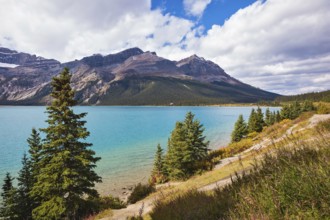 Gorgeous sunny day at Bow Lake, Canadian Rockies. The lake is surrounded by rocks and pine trees