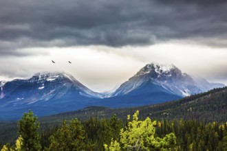 The concept of active tourism. The astonishing nature of the Rockies of Canada. The snow-capped