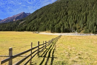 Scenic farm fields blocked bythe wooden fence. Steep mountain slopes overgrown with coniferous