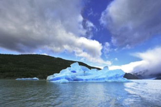 National Park Torres del Paine in Chilean Patagonia. Blue ice iceberg reflected in the lake Gray