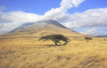 Ol Doinyo Lengai Mountain in the Savannah of Tanzania, East Africa, Lake Natron, Tanzania