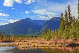 Evergreen forests in the mountains of Canada. Yellow and orange foliage on the shores of the Lake