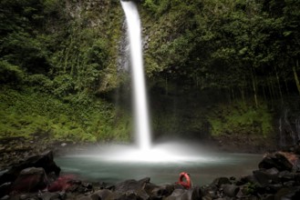 Waterfall in the jungle