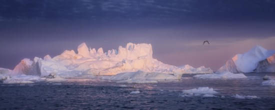 Floating glaciers in the rays of the setting sun at polar night
