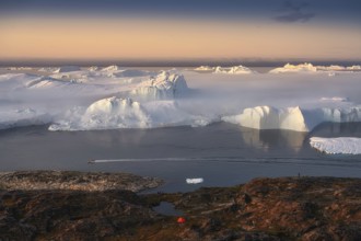 Large glaciers in the bay by the rocky shore in the light of the setting sun with fog over the